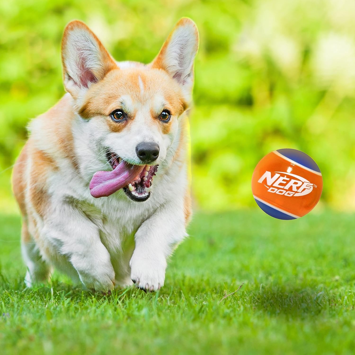 image:imageNerf Dog Rubber Tennis Ball Squeak Toy Durable WaterResistant 25in 2 Pack