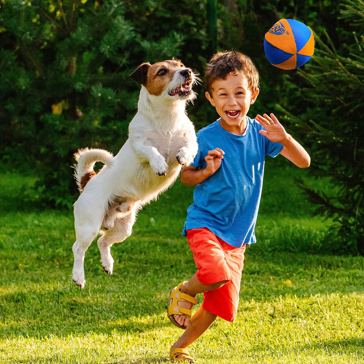 image:imageNerf Dog Trackshot Ball Dog Toy with Interactive Squeaker and Crunch Lightweight Durable and Water Resistant 45 Inches For MediumLarge Breeds Single Unit BlueOrange